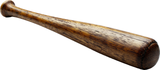 baseball bat