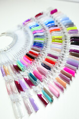 Nail polish. A palette of colorful nail polishes on a white background