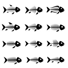 Fish Bones Collection An Artistic Depiction of Aquatic Life's Remains Minimalist Black and White Design Set of Fish Skeletons