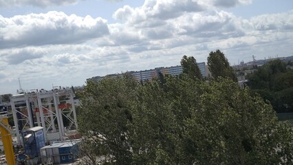 clouds in the sky above the trees