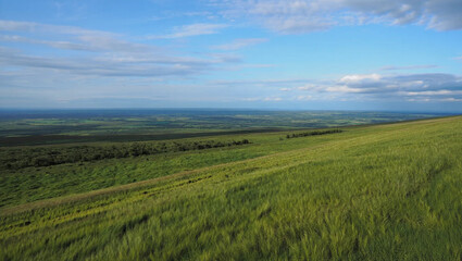 green field and blue sky