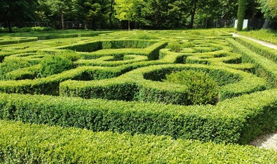 green maze in the park