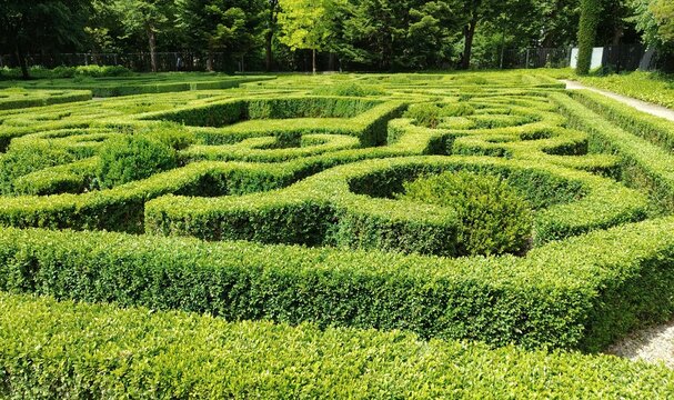 green maze in the park