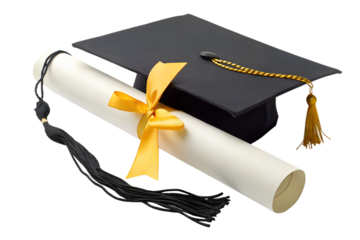 Education a rolled diploma tied with a yellow ribbon PNG Image 
