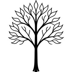 Obraz premium tree with leaves