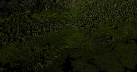 Kanapaha Lake On a Warm Spring Day