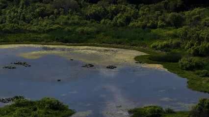 Kanapaha Lake On a Warm Spring Day