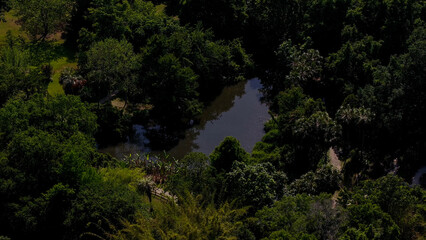 Kanapaha Lake On a Warm Spring Day