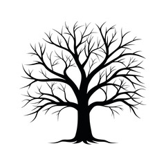Obraz premium Black silhouette of a bare winter tree with sprawling roots and intricate branches. A vector illustration for concepts of life.