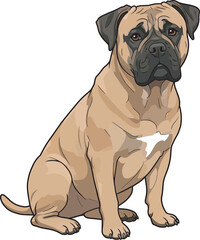 Obraz premium Bullmastiff Dog Clip art Vector and Illustration Art White Color Background