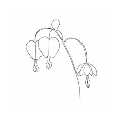 vector illustration of a flower