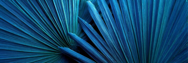 Obraz premium Blue Palm Leaf Abstract