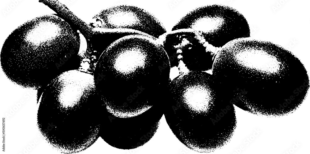 Poster high contrast black and white grape cluster abstract design