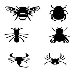 insects file set of 6