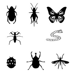 insects file set of 8