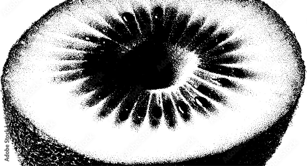 Poster abstract black and white kiwi half with high contrast design for art projects