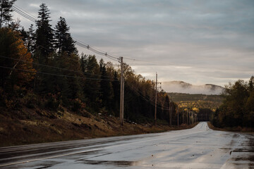 view of a road in a mountainous area with a wet surface and a forest on both side on an overcast day