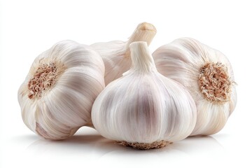 Bulb of Garlic, Still Life