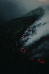 Forest fire aerial view