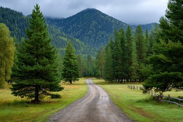 Dirt road winding through a grassy field framed by coniferous trees and a forested mountain under a cloudy sky