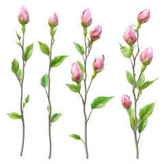 Fototapeta premium Pink Magnolia Buds Blooming Vibrant Stripes Background Delightful Spring Scene