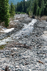 Forest River Landscape 3