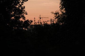 Construction cranes and urban buildings silhouette at sunset, throug the tree leaves, evening...