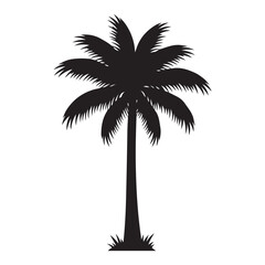 palm tree silhouette