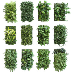 Naklejka premium Lush Green Vertical Garden Vibrant Foliage Nature's Beauty