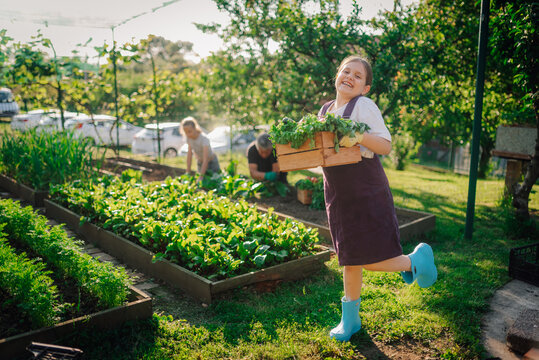 Happy girl carrying freshly harvested vegetables in family garden - Powered by Adobe