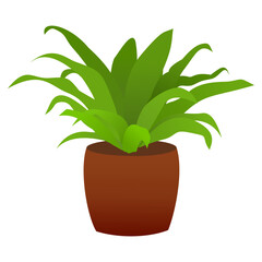 houseplant in pot for interior decoration. home plant in flowerpot. Vector flat illustration indoor flower in a pot on a white background