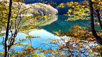 yellow beech trees in autumn and the crystal clear waters of Parma's holy lake