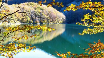 yellow beech trees in autumn and the crystal clear waters of Parma's holy lake