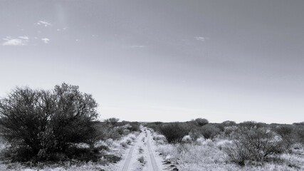Each road comes from somewhere and goes to another. 