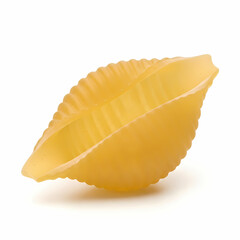 Single uncooked pasta shell