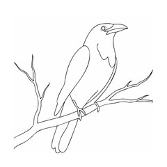 Black Crow Line Art Perched on Bare Branch raven bird