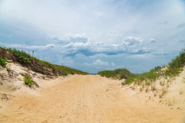 Sand dunes. Tranquil beach landscape under a summer sky.