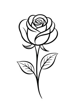 Rose flower outline drawing in black ink sketch style. Elegant floral symbol, perfect for logo, tattoo, icon, or decorative design. Isolated on transparent background.