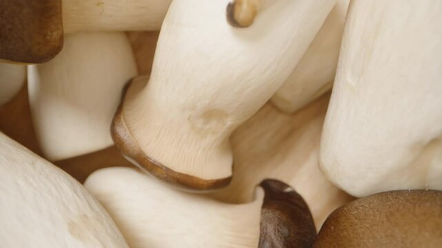 Close-Up Dolly Zoom Rising Above Rotating King Oyster Mushrooms Tightly Packed on Wooden Surface With Soft Lighting and Gradual Elevation, Cooking Ingredient Concept