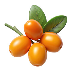 3d jojoba berries with leaves