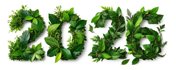 Arranged Fresh Lush Green Leaves Forming Happy New Year 2026 on a White Background environmental and eco friendly design