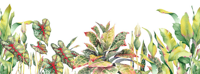 Seamless horizontal tropical border with lush banana leaves, croton and caladium foliage. Vibrant watercolor botanical design, perfect for banners, headers, textile trims, and summer-themed © JeannaDraw
