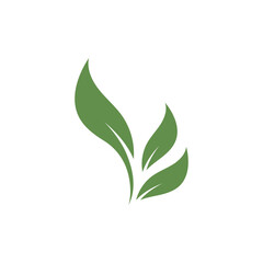 Fototapeta premium Green leaf logo icon