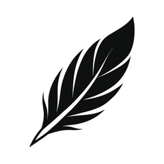 Obraz premium Elegant Black Feather Silhouette on White Background