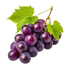 Fototapeta premium Bunch of Red Grapes Isolated on White Background Fresh and Juicy Fruit