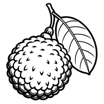 Monochrome illustration of a cherimoya fruit with leaf