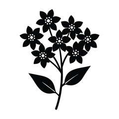 A verbena flower icon silhouette illustration