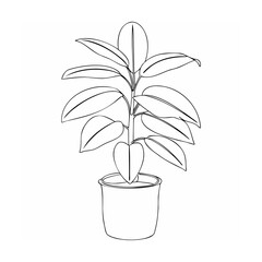Black Line Art Rubber Plant in Pot Simple Houseplant Drawing