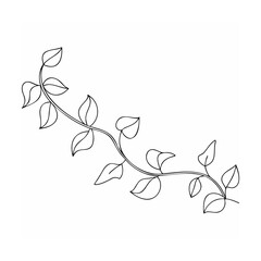 Fototapeta premium Black Line Art Vine with Simple Leaves on White Background