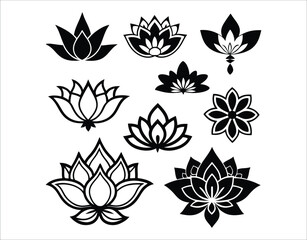 Hand Drawn Lotus Flower Pack